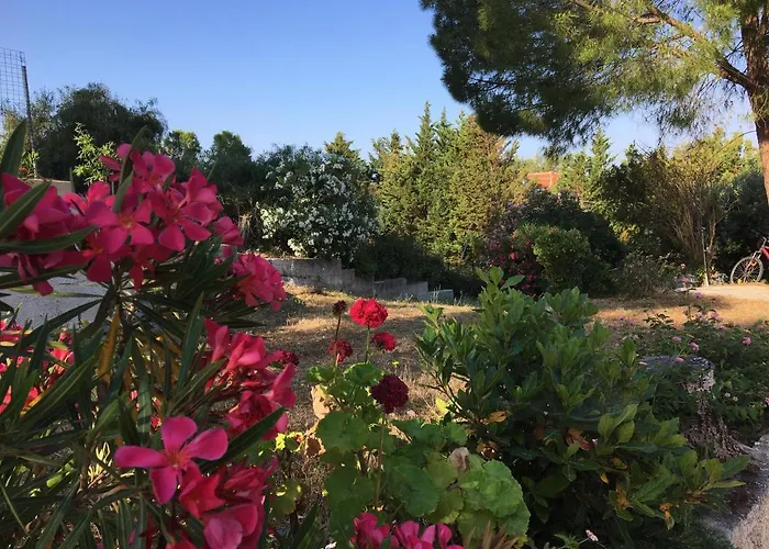 Despina Studios And Lejlighed *