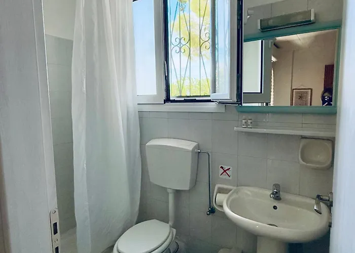 Despina Studios And *