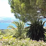 Despina And Appartement