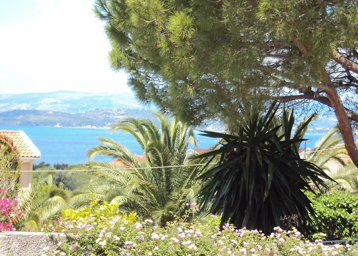 Despina And Apartament