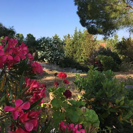 Despina Studios&apartments Apartamento *